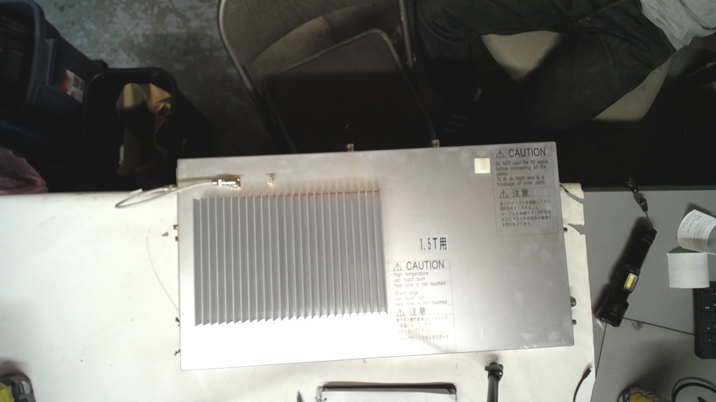 BIRD REAR RF